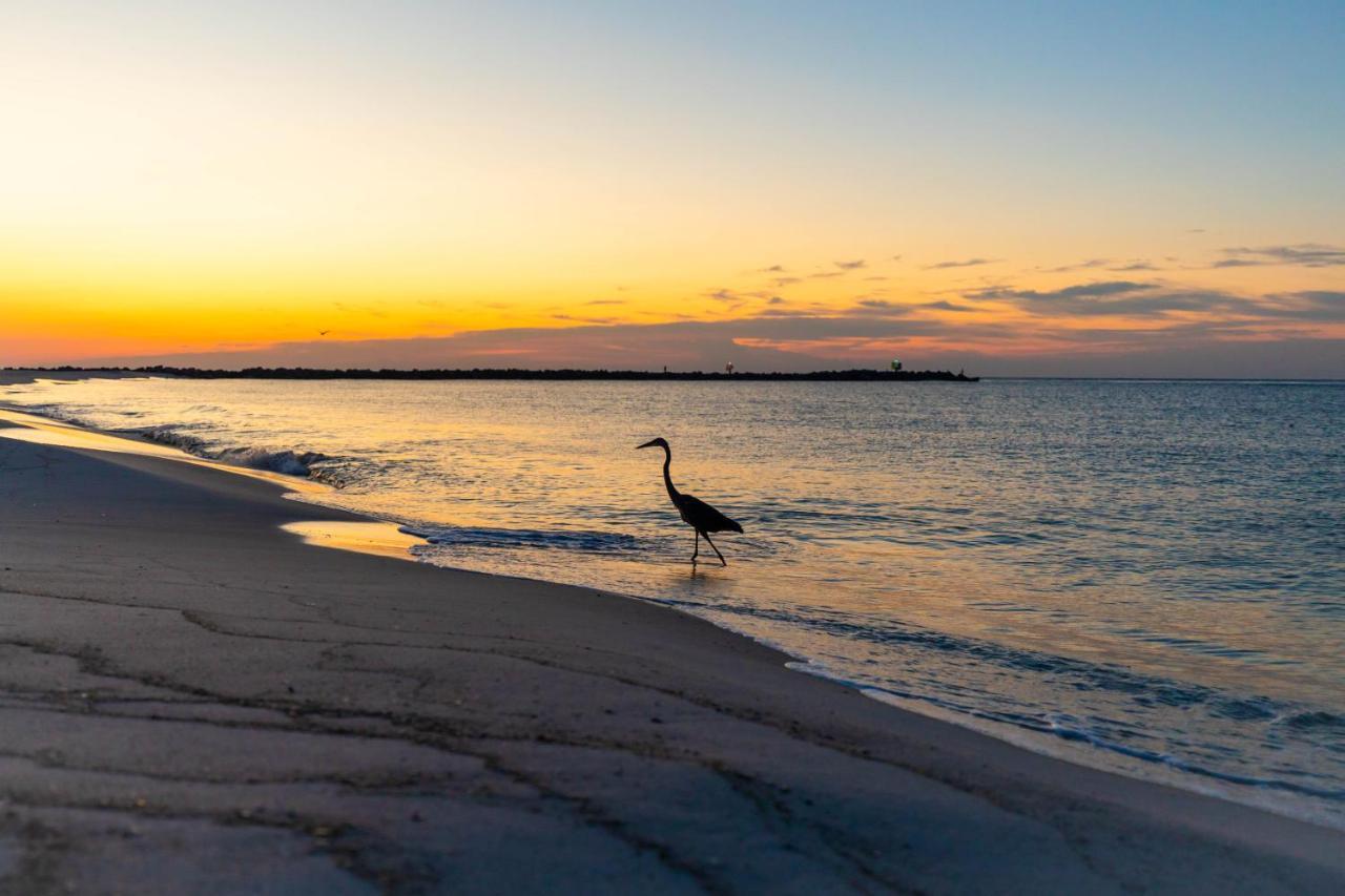 Perdido Beach Resort Orange Beach Exteriér fotografie